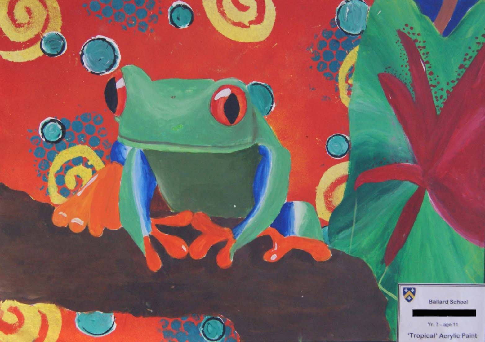 Tropical Ballard School Year 7